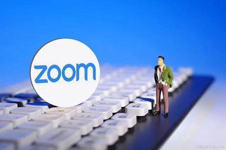 Zoom与人性Zoom的区别在哪
