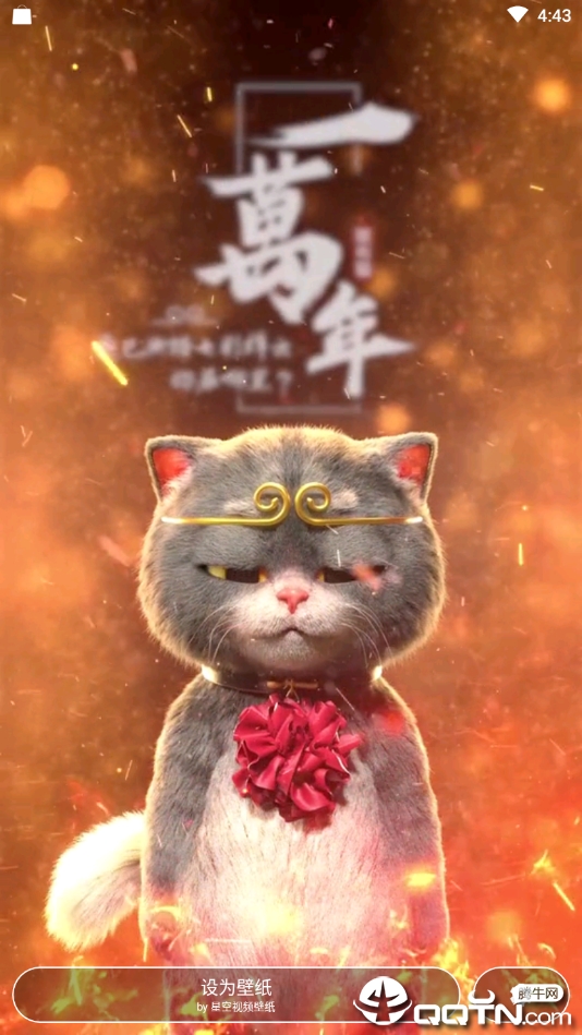 动漫猫戴金箍视频壁纸